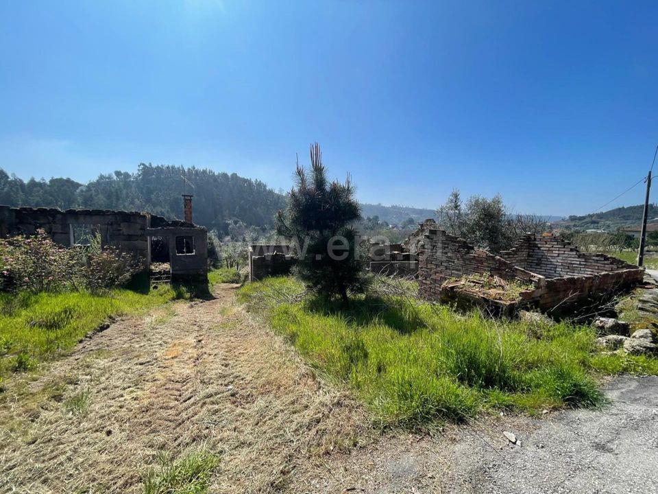 Erhvervsejendom i Carregal do Sal, Viseu - foto 1