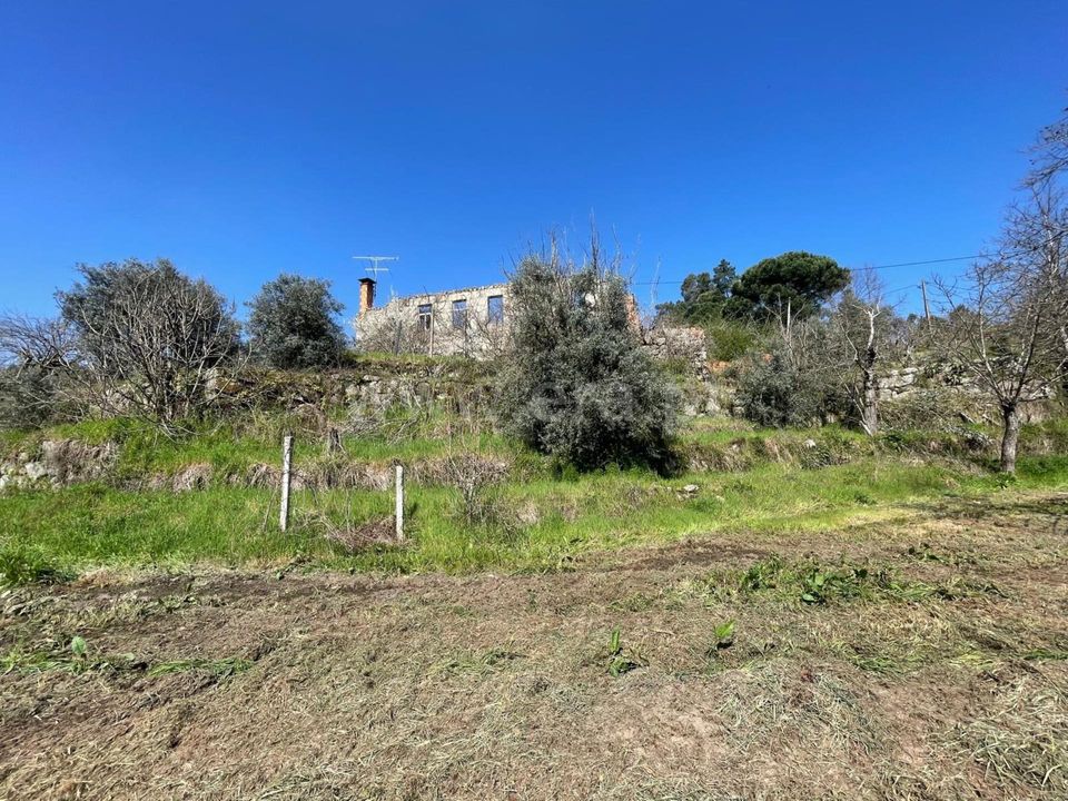 Erhvervsejendom i Carregal do Sal, Viseu - foto 5