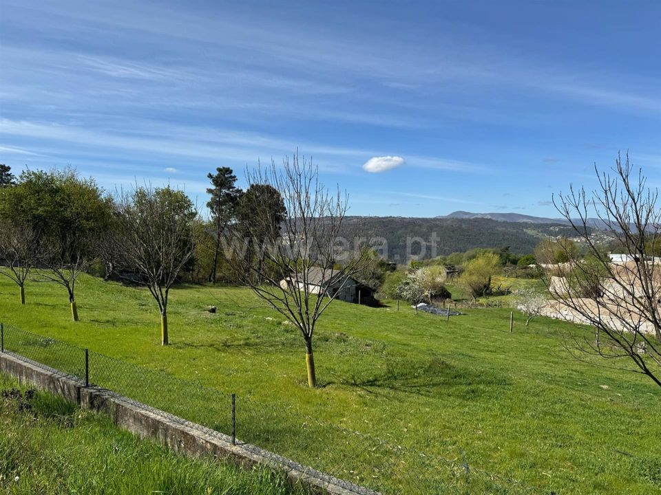 Helårsgrund i Castro Daire, Viseu - foto 3