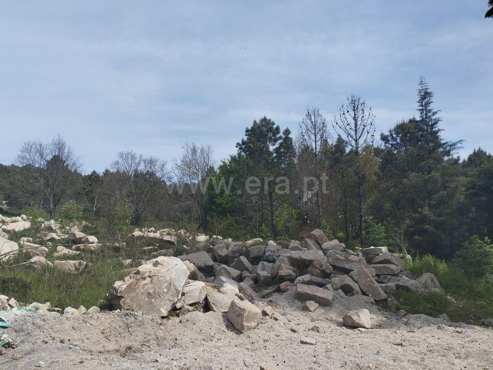 Helårsgrund i Mangualde, Viseu - foto 2