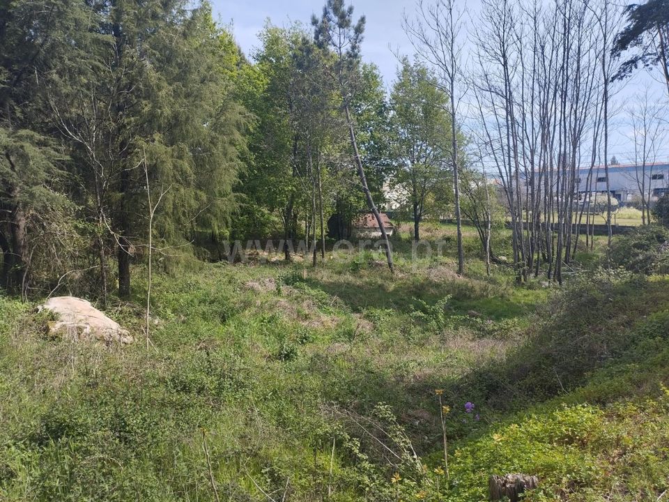 Helårsgrund i Mangualde, Viseu - foto 5