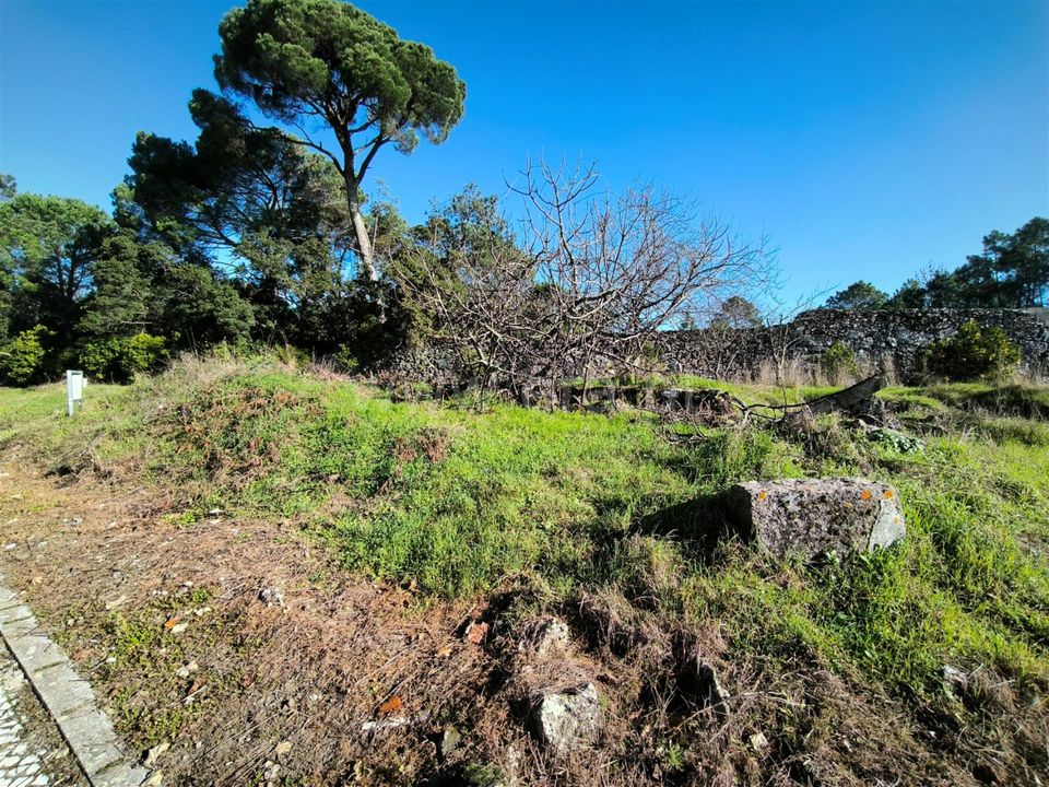 Helårsgrund i Mangualde, Viseu - foto 2