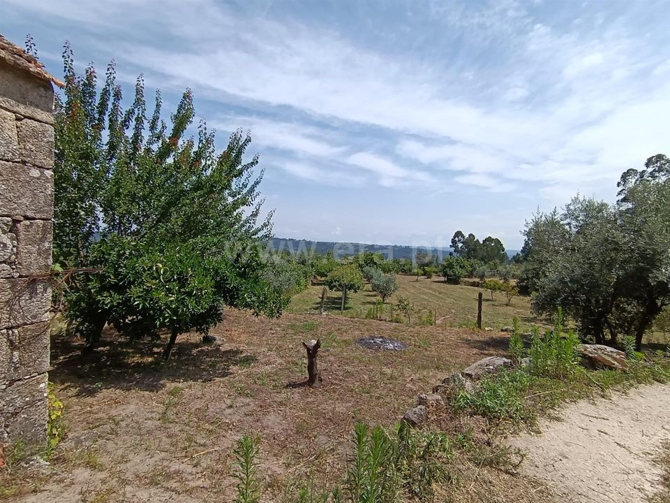 Helårsgrund i Viseu, Viseu - foto 2