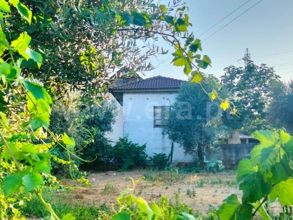 Landejendom i Mangualde, Viseu - foto 3