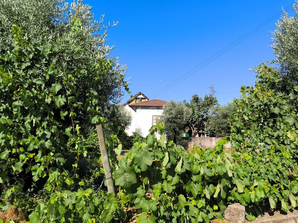 Landejendom i Mangualde, Viseu - foto 4