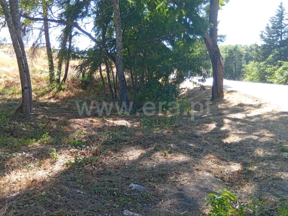 Helårsgrund i Mangualde, Viseu - foto 3