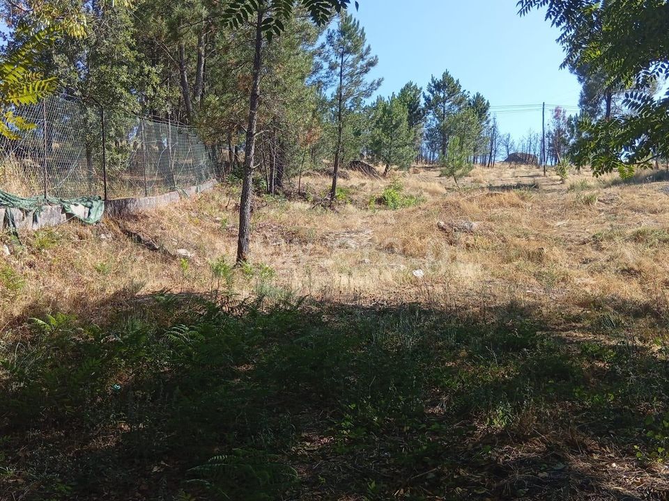 Helårsgrund i Mangualde, Viseu - foto 4