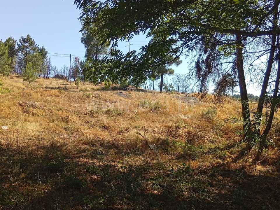 Helårsgrund i Mangualde, Viseu - foto 5