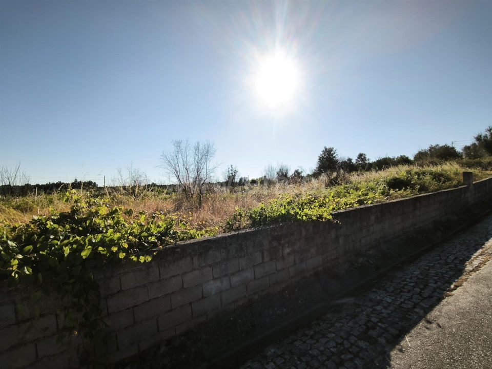 Helårsgrund i Mangualde, Viseu - foto 1