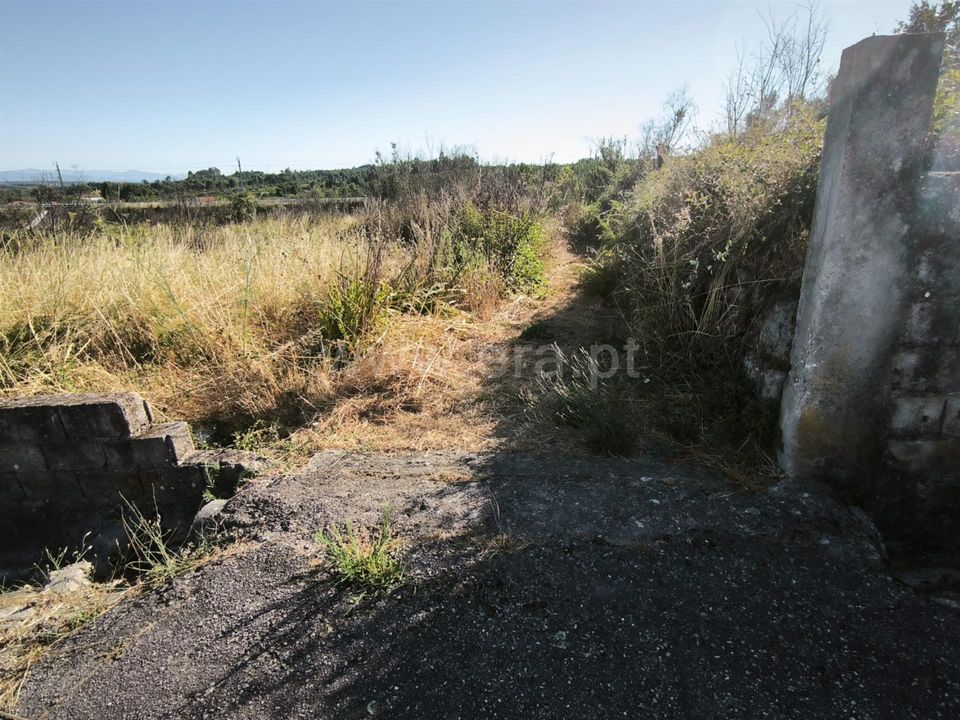 Helårsgrund i Mangualde, Viseu - foto 2