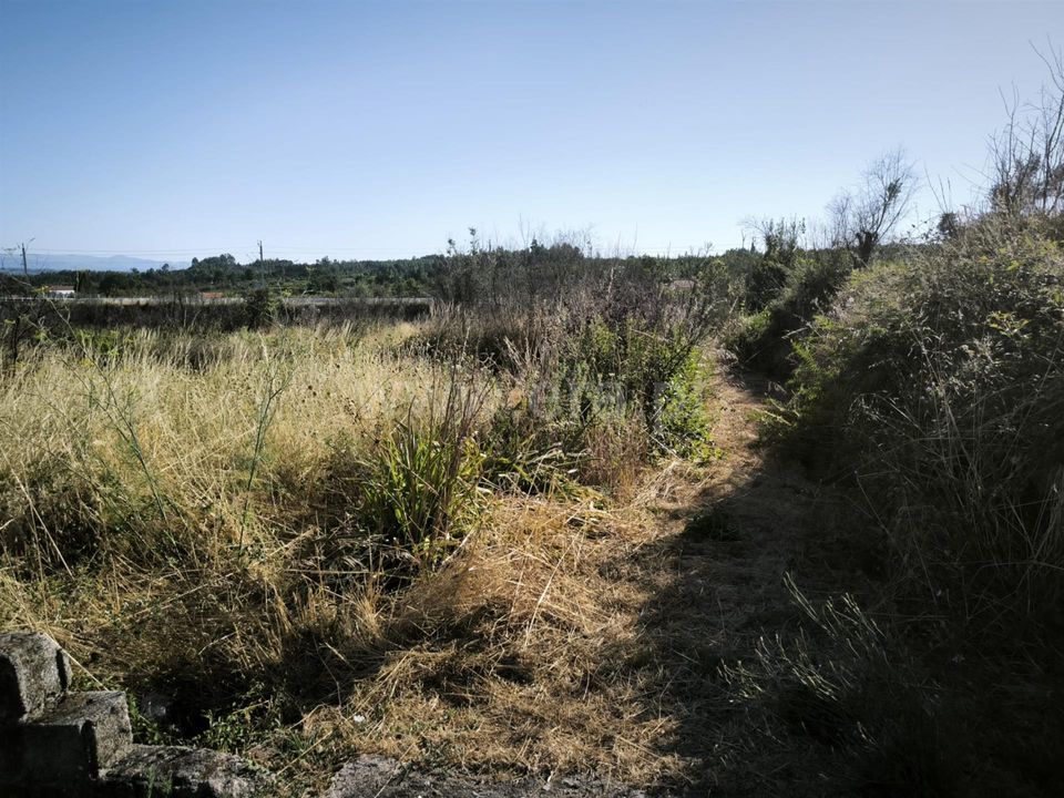 Helårsgrund i Mangualde, Viseu - foto 4