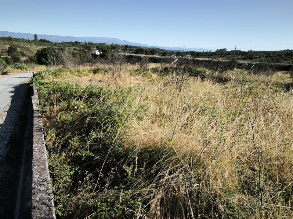 Helårsgrund i Mangualde, Viseu - foto 5