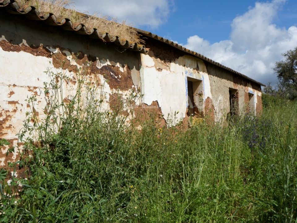 Farm hus i Cercal do Alentejo, Setubal - foto 2