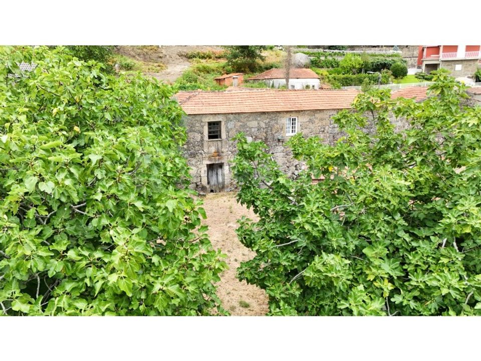 Gård i Paredes de Coura, Viana do Castelo - bilde 5