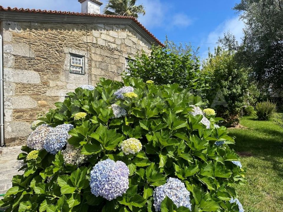 Farm i Caminha, Viana do Castelo - foto 4