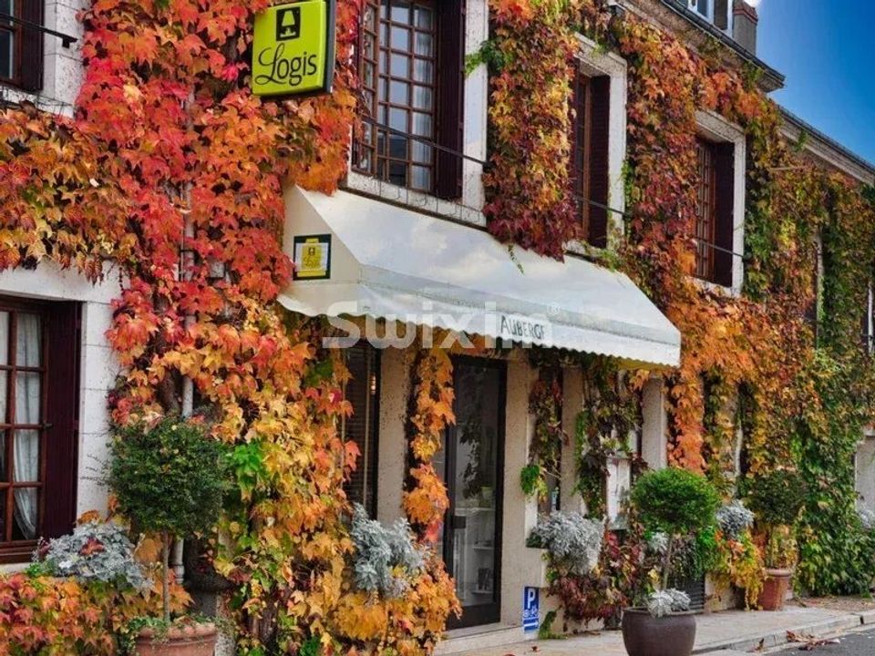 Erhvervsejendom i Cheverny, Loir-et-Cher - foto 3