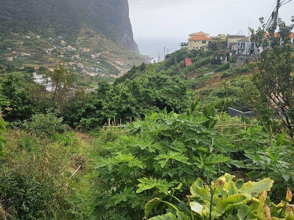 Helårsgrund i Machico, Madeira - foto 1