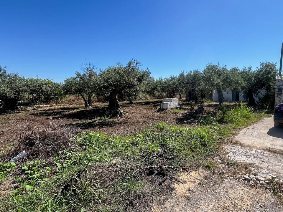 Lejlighed i Castelvetrano, Trapani - foto 2