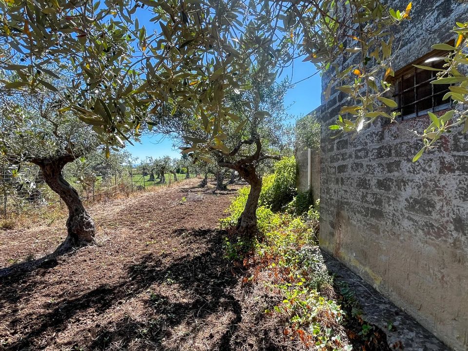 Lejlighed i Castelvetrano, Trapani - foto 4