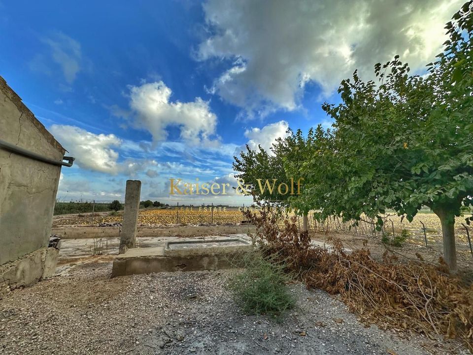 Landejendom i Elche, Alicante - foto 3