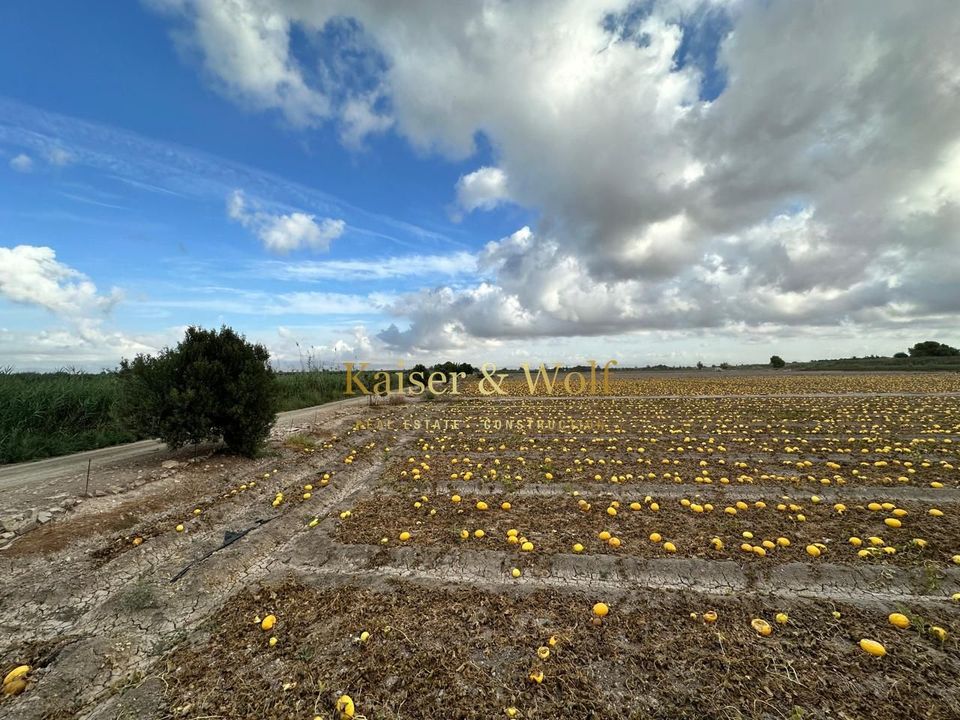 Landejendom i Elche, Alicante - foto 4
