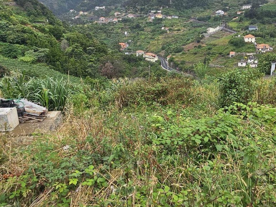 Tomt i Machico, Madeira - bilde 1