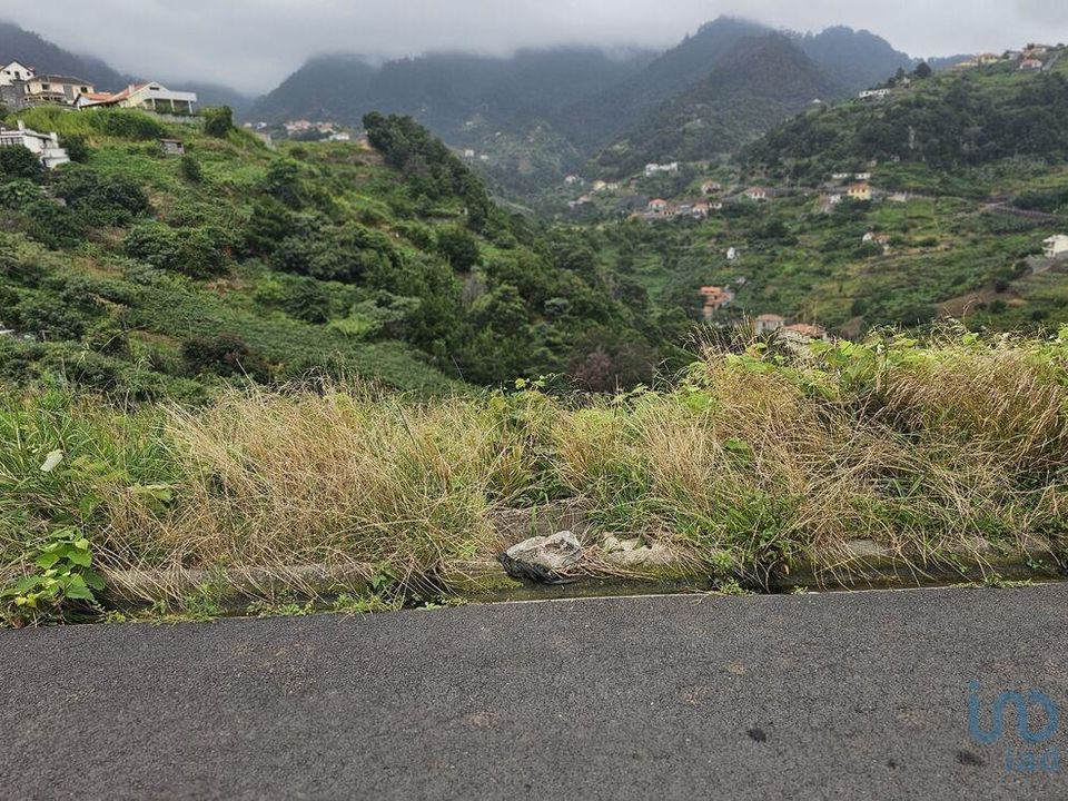 Tomt i Machico, Madeira - bilde 2