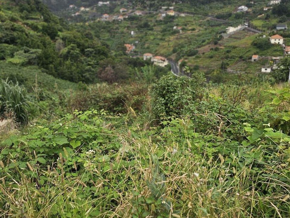 Tomt i Machico, Madeira - bilde 3