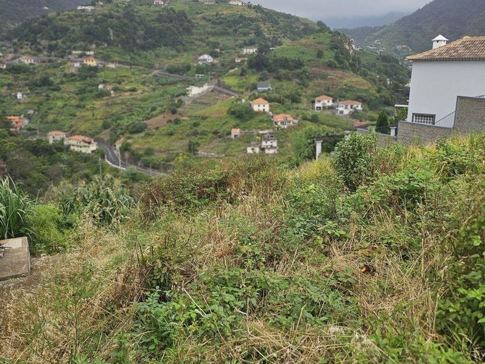 Tomt i Machico, Madeira - bilde 4