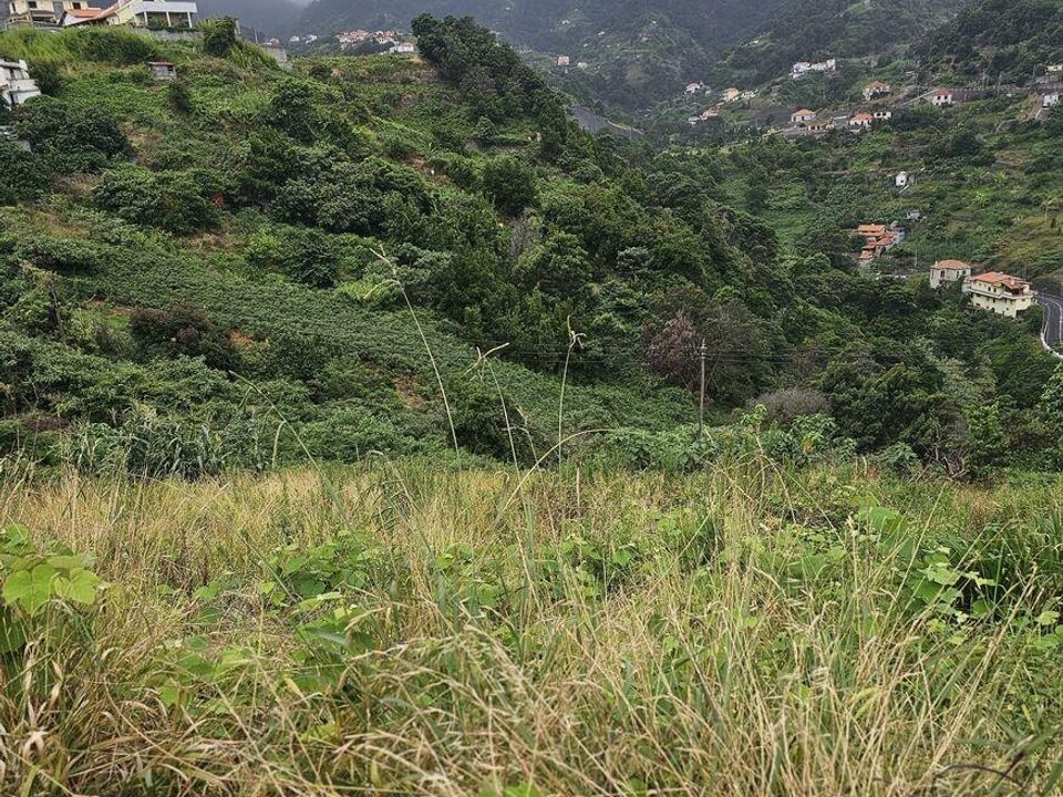 Tomt i Machico, Madeira - bilde 5