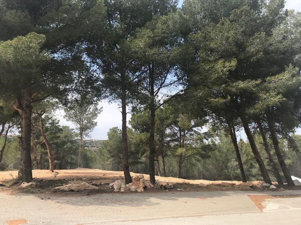 Helårsgrund i Moraira, Alicante - foto 1