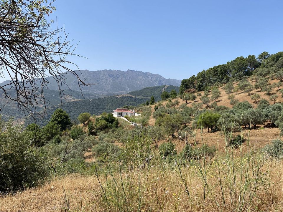 Finca i Monda, Malaga - foto 1