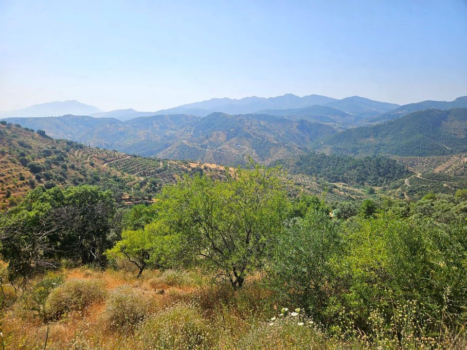 Finca i Monda, Malaga - foto 2