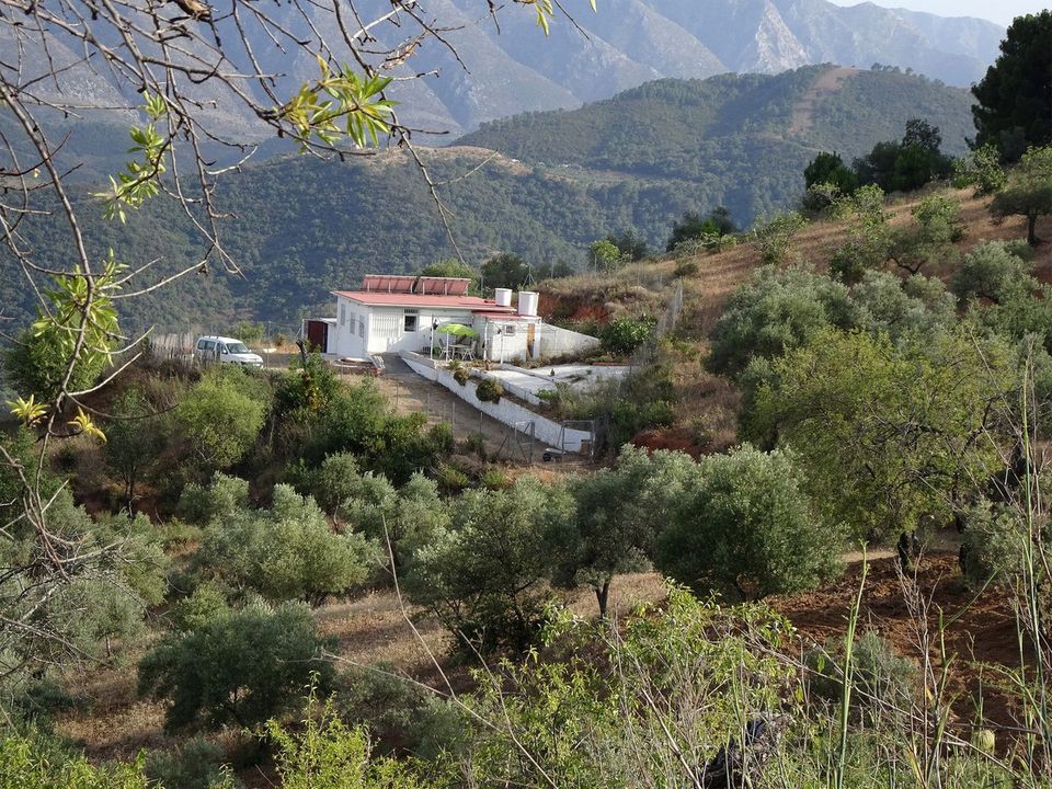 Finca i Monda, Malaga - foto 3