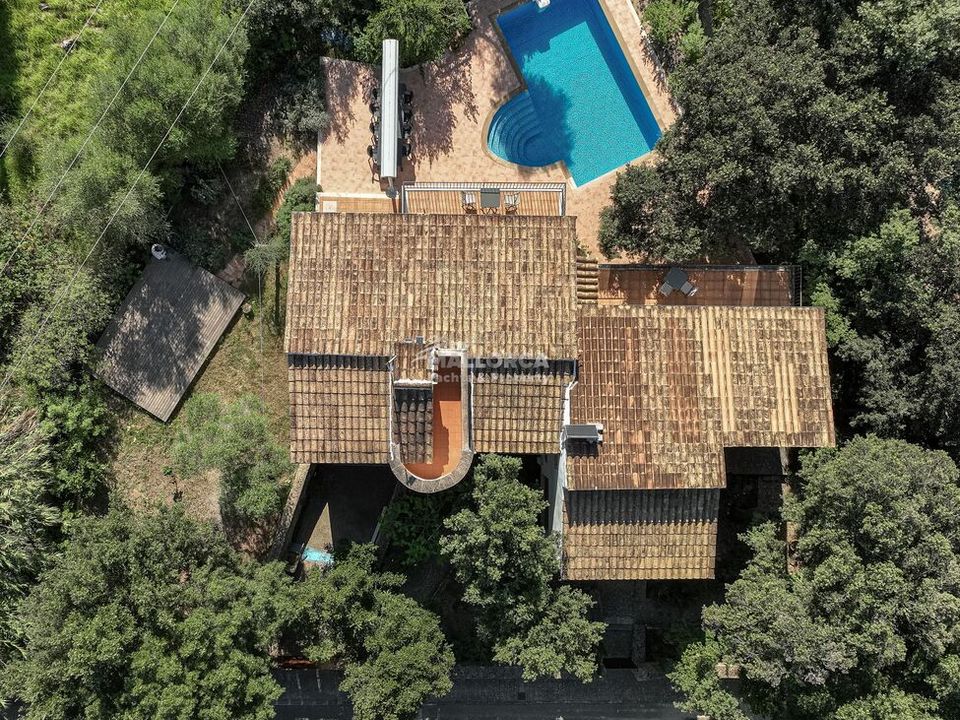 Finca i Sa Pobla, Mallorca - bilde 1