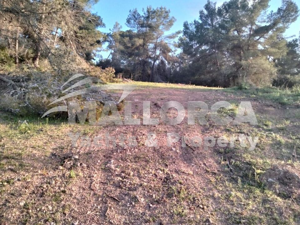 Helårsgrund i Felanitx, Mallorca - foto 1