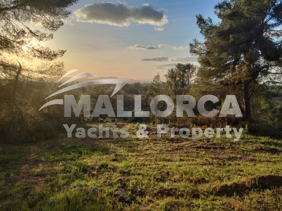 Helårsgrund i Felanitx, Mallorca - foto 2