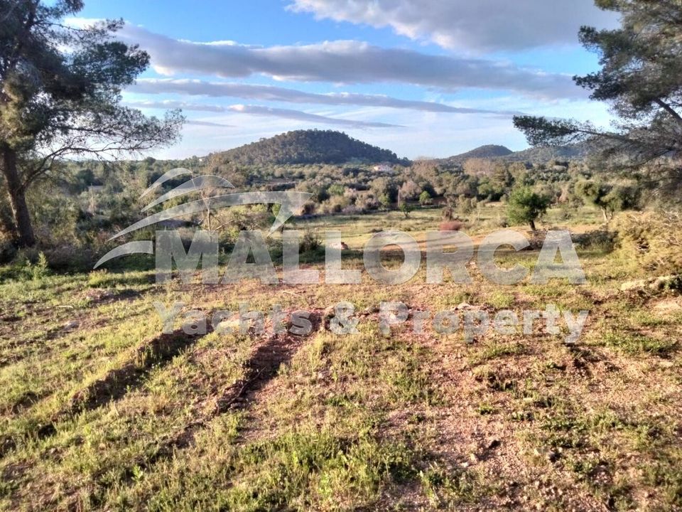 Helårsgrund i Felanitx, Mallorca - foto 3