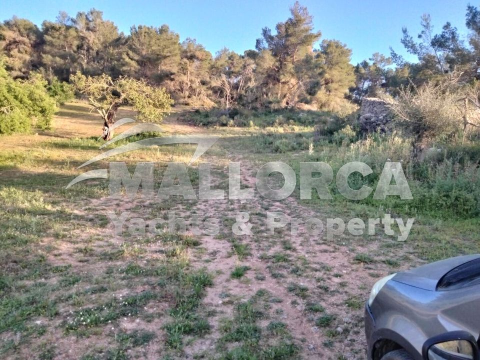 Helårsgrund i Felanitx, Mallorca - foto 4
