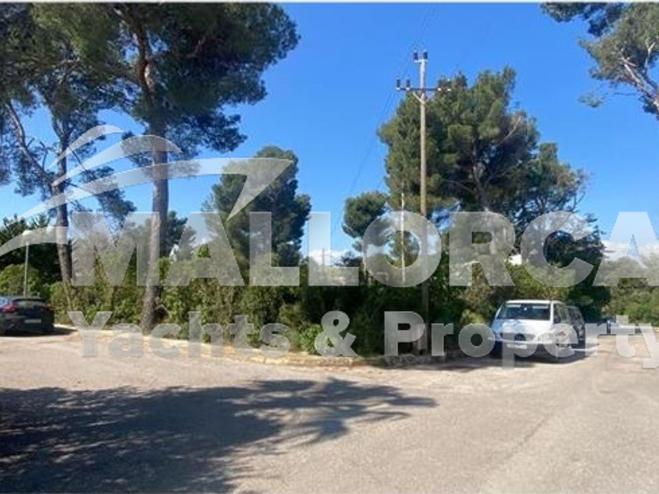 Helårsgrund i Alcudia, Mallorca - foto 5