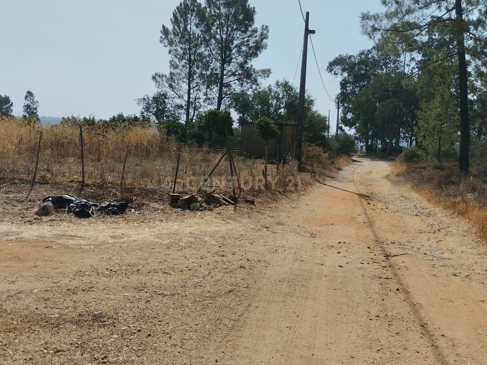 Helårsgrund i Torres Novas, Santarem - foto 2
