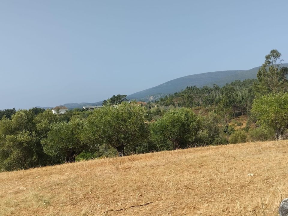 Helårsgrund i Torres Novas, Santarem - foto 3