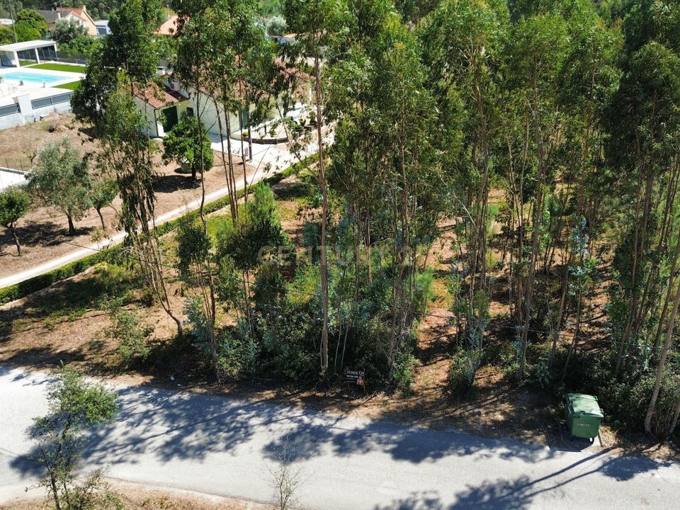 Helårsgrund i Pombal, Leiria - foto 2