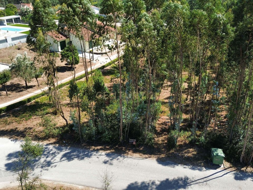 Helårsgrund i Pombal, Leiria - foto 3