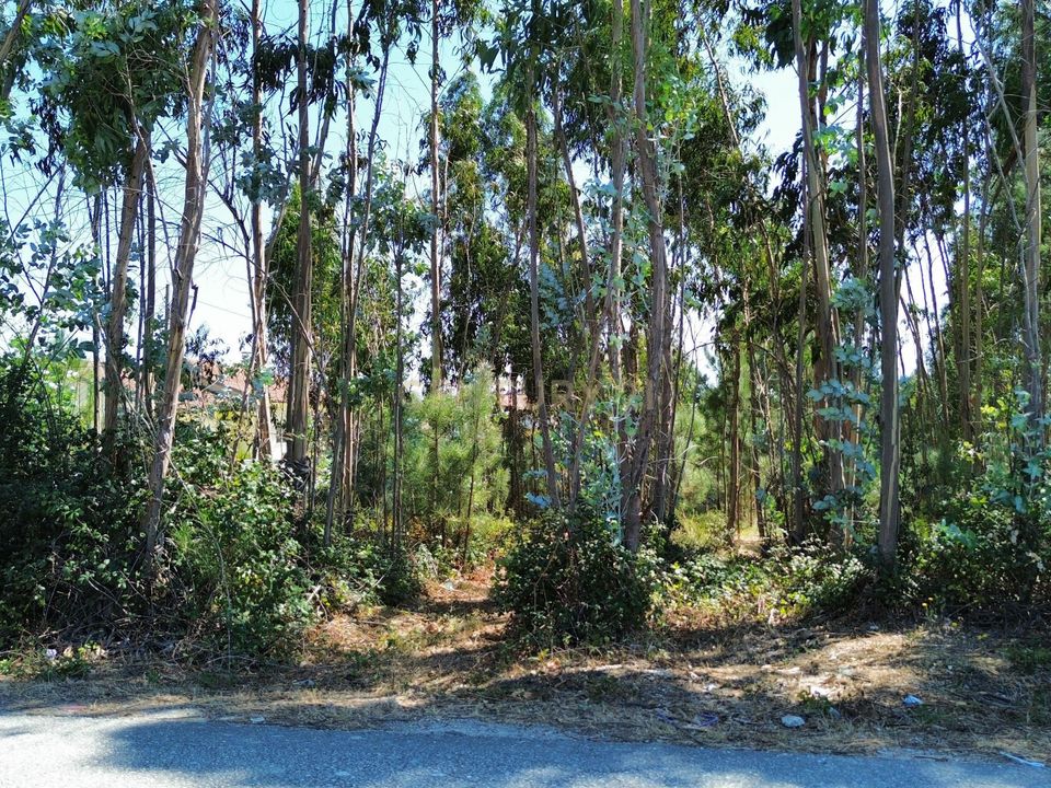 Helårsgrund i Pombal, Leiria - foto 4