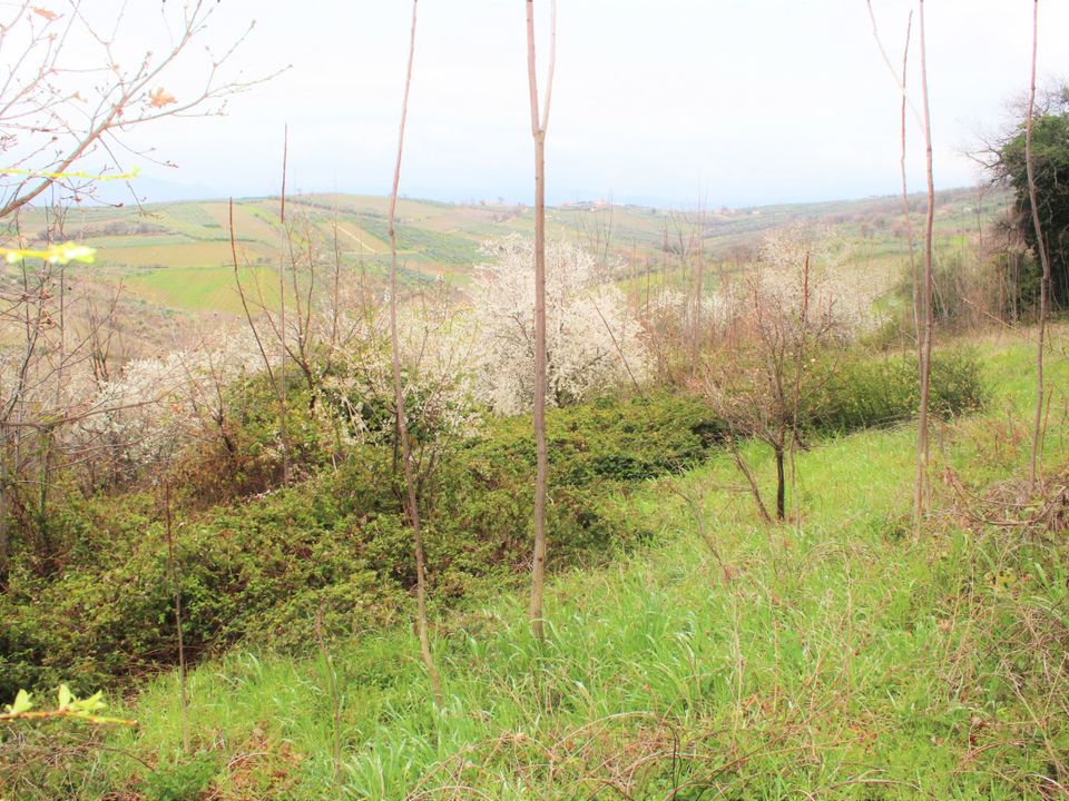 Erhvervsejendom i Mozzagrogna, Chieti - foto 1