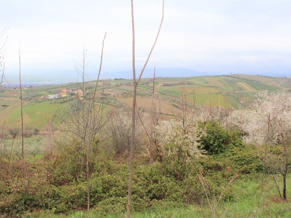 Erhvervsejendom i Mozzagrogna, Chieti - foto 2