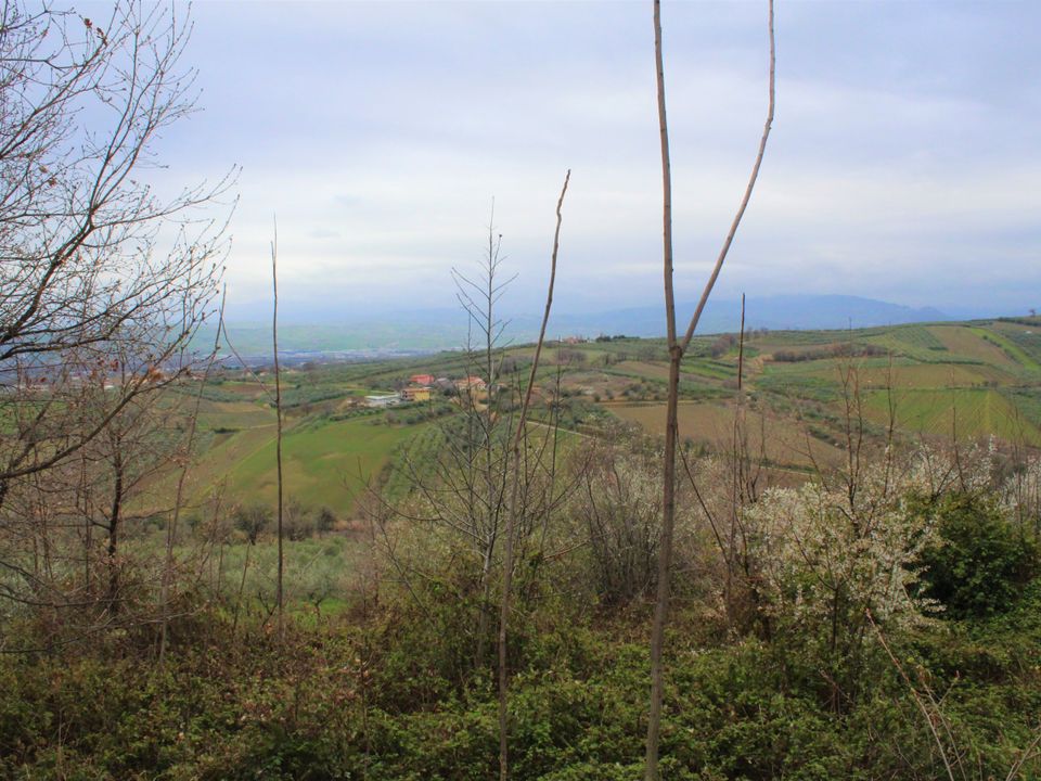 Erhvervsejendom i Mozzagrogna, Chieti - foto 3