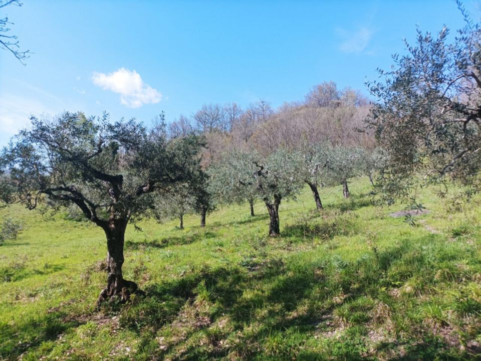 Tomt i Brogliano, Vicenza - foto 4