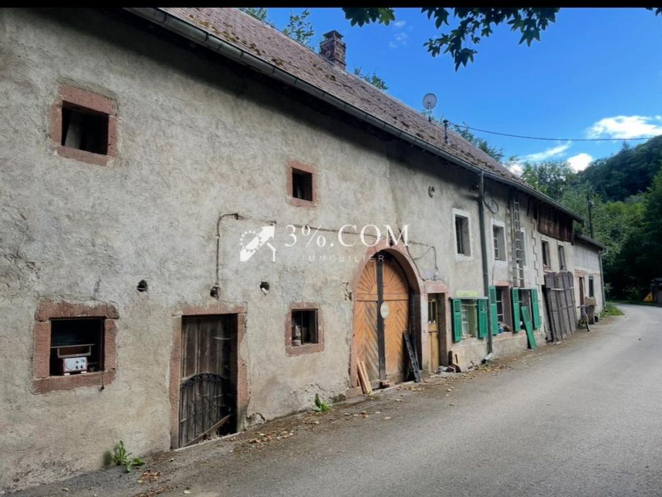 Farm i Sainte-Croix-aux-Mines, Haut-Rhin - foto 1